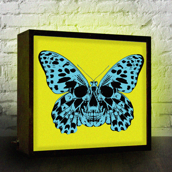 BUTTERFLY Lightbox (Blue/Yellow)