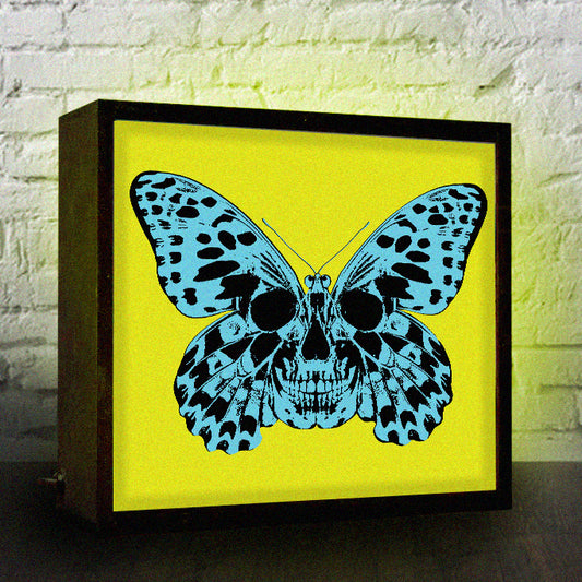 BUTTERFLY Lightbox (Blue/Yellow)