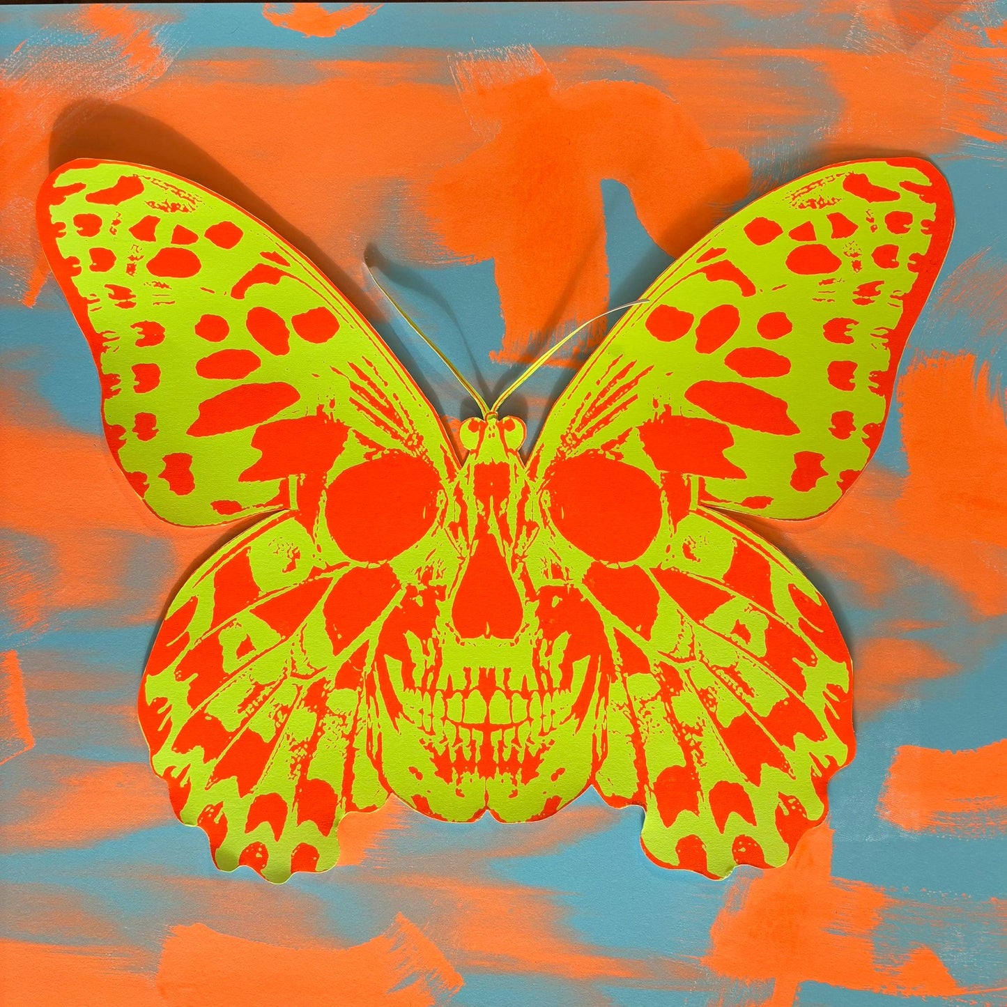 Butterfly Collage #5